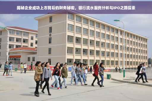 揭秘企业成功上市背后的财务秘密，银行流水案例分析与IPO之路探索