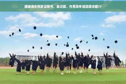 揭秘海关税款证明书，全过程、作用及申请流程详解??