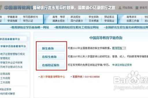 揭秘银行流水背后的故事，深度谈心记录银行之旅