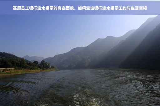 基层员工银行流水揭示的真实面貌，如何查询银行流水揭示工作与生活真相