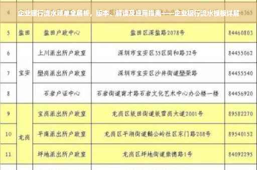 企业银行流水账单全解析，版本、解读及应用指南——企业银行流水模板详解