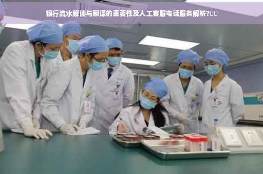 银行流水解读与翻译的重要性及人工客服电话服务解析?⚡️