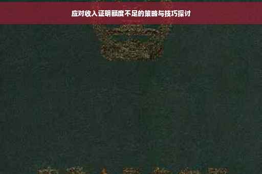 应对收入证明额度不足的策略与技巧探讨