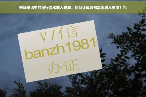 签证申请中的银行流水收入详解，如何计算合格流水收入支出？?✨