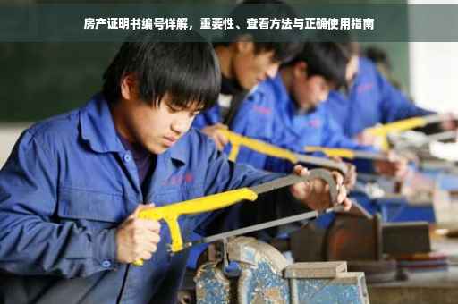房产证明书编号详解，重要性、查看方法与正确使用指南