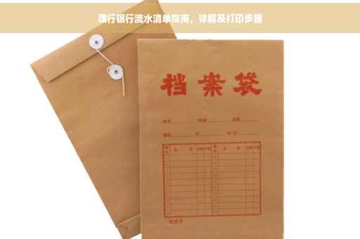 建行银行流水清单指南，详解及打印步骤