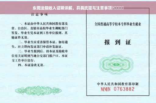 东莞法院收入证明详解，开具流程与注意事项?​​​​