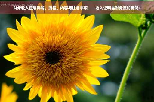财务收入证明详解，流程、内容与注意事项——收入证明需财务章加持吗？