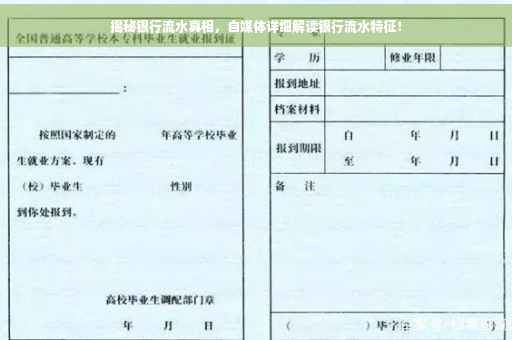 揭秘银行流水真相，自媒体详细解读银行流水特征！