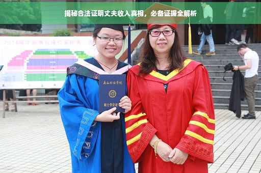 揭秘合法证明丈夫收入真相，必备证据全解析