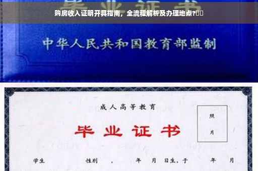 购房收入证明开具指南，全流程解析及办理地点?⚡️