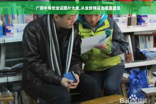 广西中专毕业证图片大全,从业资格证去哪里盖章