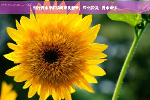银行流水单解读与定制服务，专业解读，流水无忧