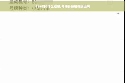 666归0什么意思,乌海计算机等级证书