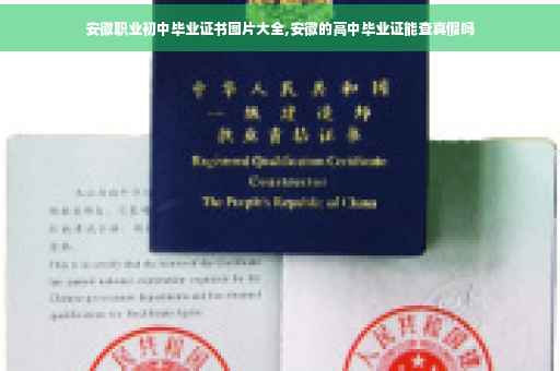 安徽职业初中毕业证书图片大全,安徽的高中毕业证能查真假吗