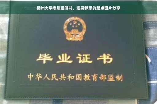 扬州大学志愿证明书，追寻梦想的起点图片分享