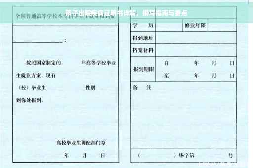 孩子出院疾病证明书详解，撰写指南与要点