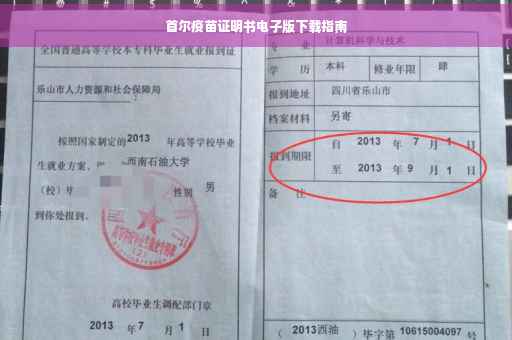 首尔疫苗证明书电子版下载指南