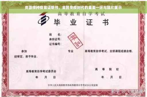 资源接种疫苗证明书，全民免疫时代的重要一环与图片展示