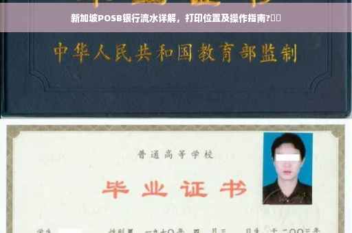 新加坡POSB银行流水详解，打印位置及操作指南?⚡️