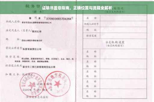 证明书盖章指南，正确位置与流程全解析