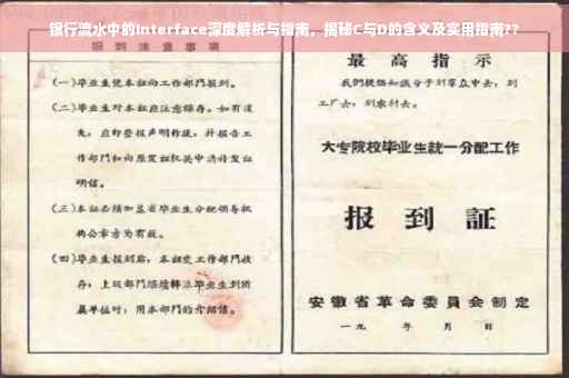 银行流水中的Interface深度解析与指南，揭秘C与D的含义及实用指南??