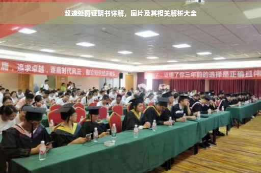 超速处罚证明书详解，图片及其相关解析大全