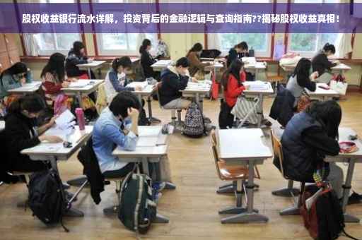 股权收益银行流水详解，投资背后的金融逻辑与查询指南??揭秘股权收益真相！
