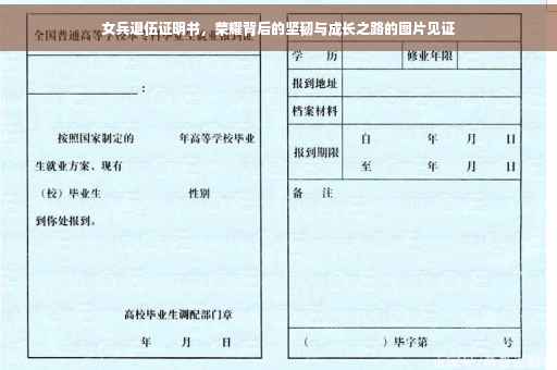 女兵退伍证明书，荣耀背后的坚韧与成长之路的图片见证