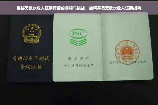 揭秘无流水收入证明背后的真相与挑战，如何开具无流水收入证明指南