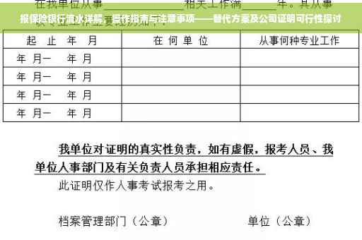 报保险银行流水详解，操作指南与注意事项——替代方案及公司证明可行性探讨