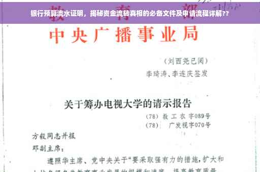 银行预算流水证明，揭秘资金流转真相的必备文件及申请流程详解??