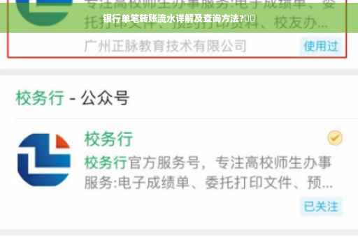 银行单笔转账流水详解及查询方法?⚡️