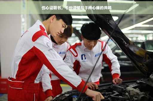 伤心证明书，千份遗憾与千种心痛的共鸣
