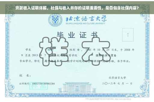 贷款收入证明详解，社保与收入并存的证明重要性，是否包含社保内容？