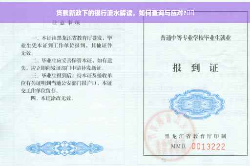 贷款新政下的银行流水解读，如何查询与应对?⚡️