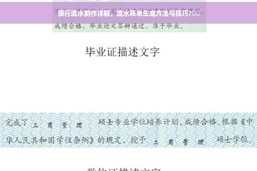 银行流水制作详解，流水账单生成方法与技巧?⚡️