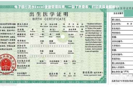 电子银行流水Excel便捷管理指南，一目了然查看，打印流程全解析??