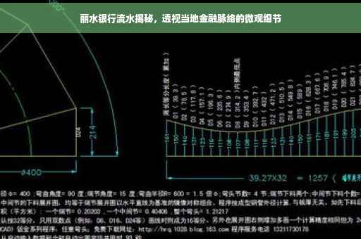 丽水银行流水揭秘，透视当地金融脉络的微观细节