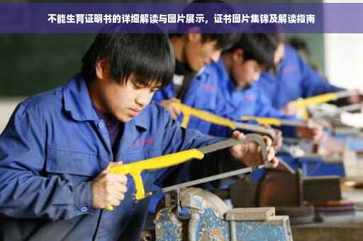 不能生育证明书的详细解读与图片展示，证书图片集锦及解读指南
