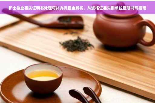 护士执业丢失证明书处理与补办流程全解析，从资格证丢失到单位证明书写指南