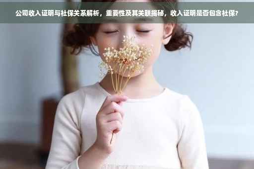 公司收入证明与社保关系解析，重要性及其关联揭秘，收入证明是否包含社保？