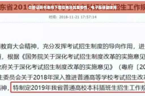 诊断证明书表格下载指南及其重要性，电子版便捷使用