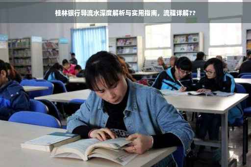 桂林银行导流水深度解析与实用指南，流程详解??