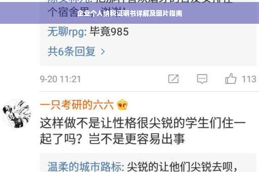 企业个人纳税证明书详解及图片指南
