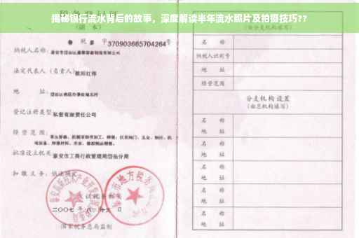 揭秘银行流水背后的故事，深度解读半年流水照片及拍摄技巧??