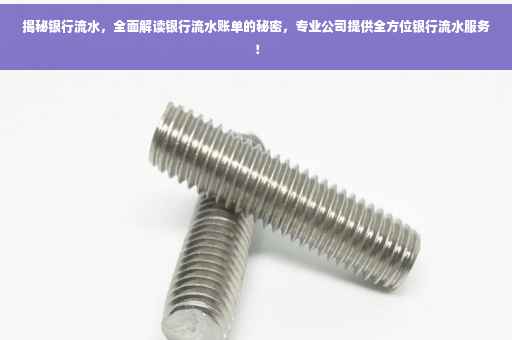 揭秘银行流水，全面解读银行流水账单的秘密，专业公司提供全方位银行流水服务！