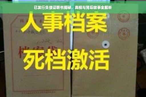 已发行负债证明书揭秘，真相与背后故事全解析