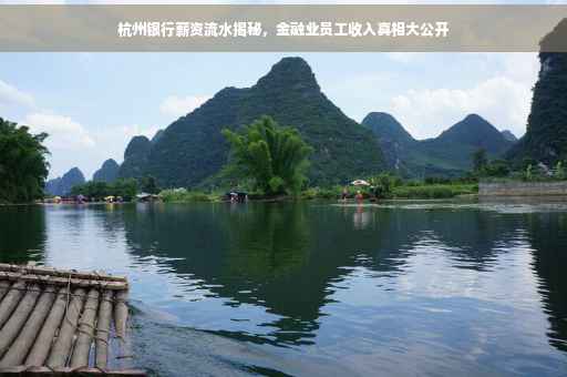 杭州银行薪资流水揭秘，金融业员工收入真相大公开