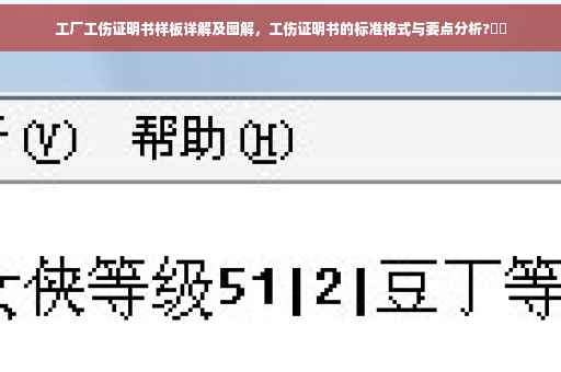 工厂工伤证明书样板详解及图解，工伤证明书的标准格式与要点分析?⚡️